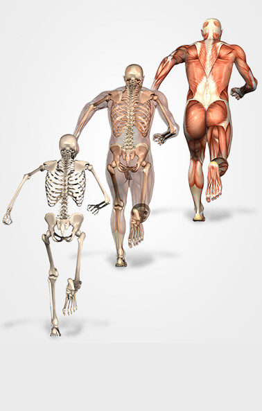 General Orthopedics - Lisa R. Reznick MD, PA - Orthopedic Hand Surgeon in Carrollton, Texas
